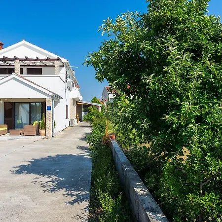 Apartments Draznik Zaton  Exterior photo